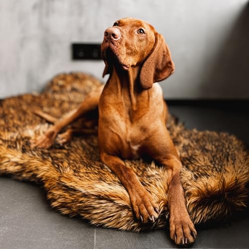 IHAPPYDOG Luxuriöses orthopädisches Hundebett aus Kunstfell, Memory Foam Hundebett für kleine, mittlere, große und XL Haustiere, Flauschiges Haustierbett mit wasserdichtem und waschbarem Bezug (Braun, von IHAPPYDOG