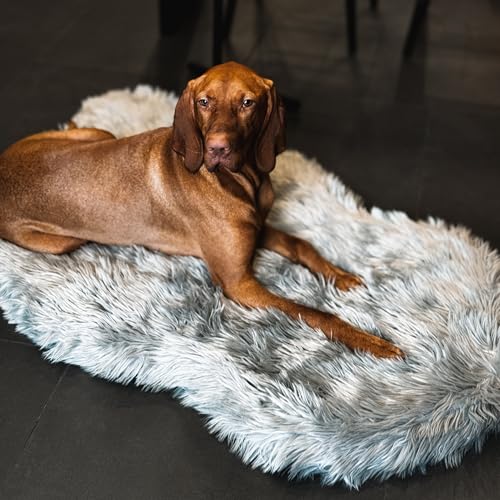 IHAPPYDOG Luxuriöses orthopädisches Hundebett aus Kunstfell, Memory Foam Hundebett für kleine, mittlere, große und XL Haustiere, Flauschiges Haustierbett mit wasserdichtem und waschbarem Bezug (Grau, von IHAPPYDOG