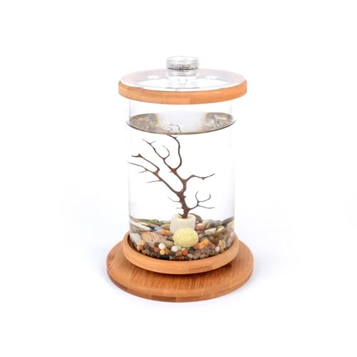 Klarglas Aquarium Kit mit Sockel Büro ECO Fisch Tank Desktop Decor Outdoor Solar Licht Garten Statuen (klar, Einheitsgröße) von IHEHUA