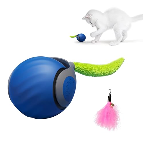 IHONYI Neue Interaktives Katzenspielzeug Elektrisch, Verbesserter Katzen Ball Mit 90 Min Langer Batterielebensdaue, Katzekatzenspielzeug Selbstbeschäftigung Mit Zwei Geschwindigkeiten (blau, 1 pcs) von IHONYI