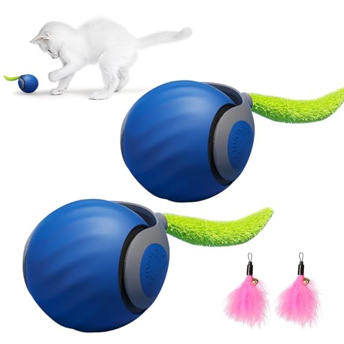 IHONYI Neue Interaktives Katzenspielzeug Elektrisch, Verbesserter Katzen Ball Mit 90 Min Langer Batterielebensdaue, Katzekatzenspielzeug Selbstbeschäftigung Mit Zwei Geschwindigkeiten (blau, 2 pcs) von IHONYI