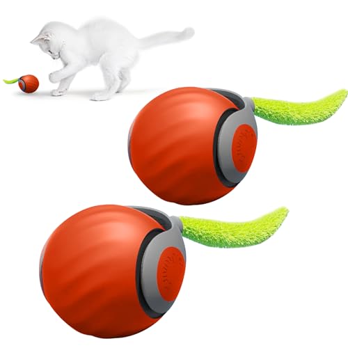 IHONYI Neue Interaktives Katzenspielzeug Elektrisch, Verbesserter Katzen Ball Mit 90 Min Langer Batterielebensdaue, Katzekatzenspielzeug Selbstbeschäftigung Mit Zwei Geschwindigkeiten (orange, 2 pcs) von IHONYI