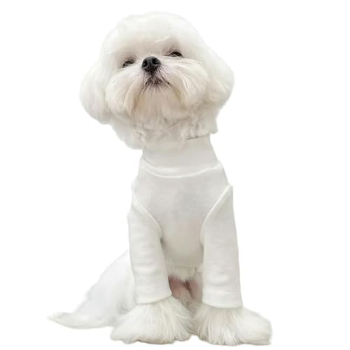 IISEEUU Hundekleidung Fashion Haustierhund Bottoming Hemd Welpe Feste Farbe Kleidung Winter Teddy Warme Kleidung Haustier Pudel Pullover Hund-weiß-10 von IISEEUU