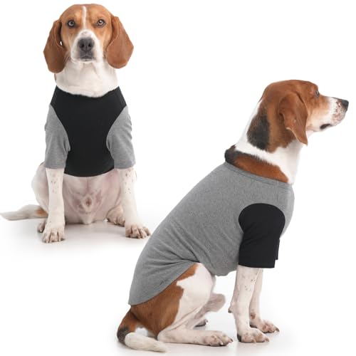 2-teiliges Hunde-Shirt mit Ärmeln, leichte T-Shirts für Hunde, atmungsaktives T-Shirt, weiche Hunde-Sweatshirts, Hundebekleidung für mittelgroße Hunde, Jungen, Mädchen, Jack Russell, Mini-Schnauzer, von IKIPUKO