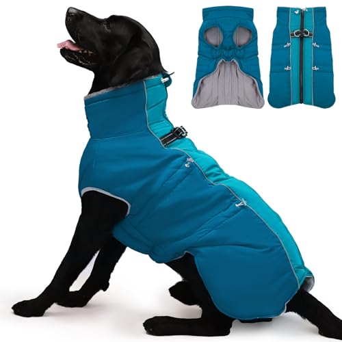 IKIPUKO Hundemantel, Winterjacke, Größe XXL, warmer Schneeanzug mit Reißverschluss, reflektierend, wasserabweisend, für große Hunde, Border Collie, Pit Bull, Grün von IKIPUKO