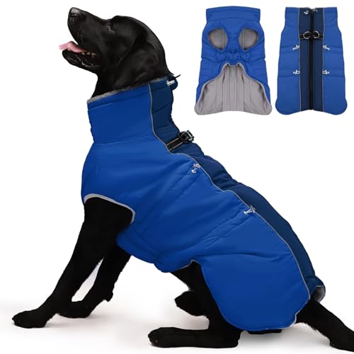 IKIPUKO Hundemantel, Winterjacke, Größe XXL, warmer Schneeanzug mit Reißverschluss, reflektierend, wasserabweisend, für große Hunde, Border Collie, Pit Bull, Königsblau von IKIPUKO