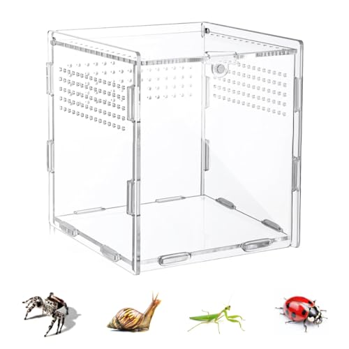 IKOPFLN Reptilien Futterbox Acryl Terrarium, 360° Transparent Mini Zuchtbox für Eidechsen, Spinnen, Geckos, Insekten 10 x 10 cm, Gute Belüftung und Vielseitige Nutzung von IKOPFLN