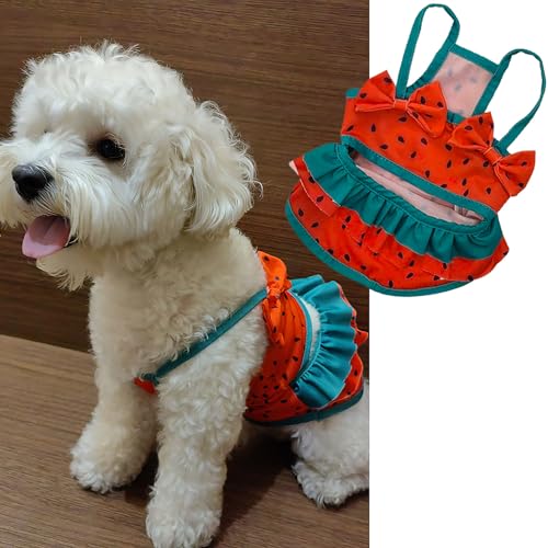 Lustige Hunde-Bademode, Bikini, Sommer, Hundekleidung, Strand-Badeanzug, Welpen-Badeanzug, Welpenweste, kühlendes Haustier-Shirt für kleine Hunde, Katzenbekleidung (Wassermelone, Größe XL) von IMDOUBLEDOU