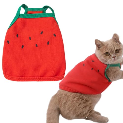 Sommerkleidung für Hunde – lustige Sommerkleidung für Hunde, Katzen-Shirts, Wassermelone, Hunde-Shirt, Obst, Hundeweste, niedlich, Welpen, ärmellos, T-Shirt, französische Bulldogge, Tank-Tops (Größe von IMDOUBLEDOU