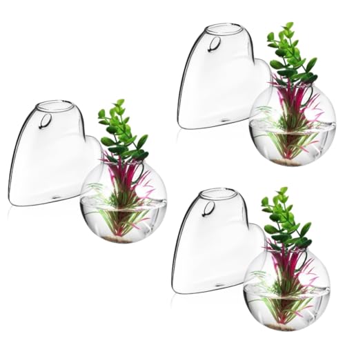 IMIKEYA 6 STK Glasvase Halter Für Wasserpflanzen Fischglas An Der Wand Wandvase Für Blumen Ausbreitung Wandbehang Hängendes Terrarium Ausbreitungsstationen Glas Mit Hohem Borosilikatgehalt IMIKEYA 6 STK Glasvase Halter Für Wasserpflanzen Fischglas An Der Wand Wandvase Für Blumen Ausbreitung Wandbehang Hängendes Terrarium Ausbreitungsstationen Glas Mit Hohem Borosilikatgehalt von IMIKEYA