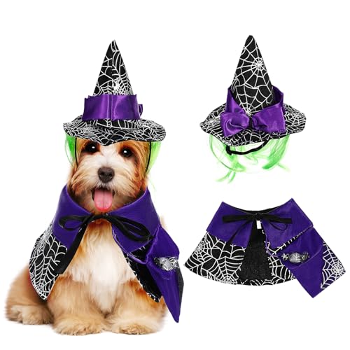 IMIKEYA Halloween Haustierkostüm Katzenhexenkostüm Lustiges Zaubererkatzenkostümset Umhang Und Hexenhut Als Verkleidungszubehör Für Kleine Hunde Und Katzen Outfits von IMIKEYA