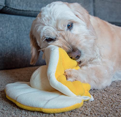 Injoya Muschel-Schnüffelspielzeug, Puzzle-Hundespielzeug, Anreicherungswerkzeug, langlebig und maschinenwaschbar, interaktiver Spaß von INJOYA INSPIRING JOY IN ANIMALS