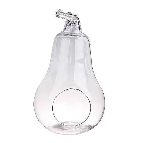 INNA-GLAS Pflanzenterrarium Glas YVIE in Birnenform, klar, 36,5cm, Ø21cm - Glasterrarium von INNA-Glas