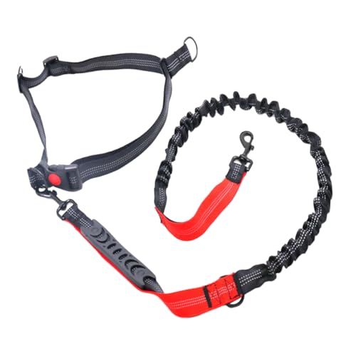 INOOMP 1 STK elastisches Laufseil Zugseil Hundeleine Seil Leine Trainingsleine für Hunde laufende Leine Haustiertraining Gürtel Dog Lead hundeseile Freiheitsleine für Hunde rot von INOOMP