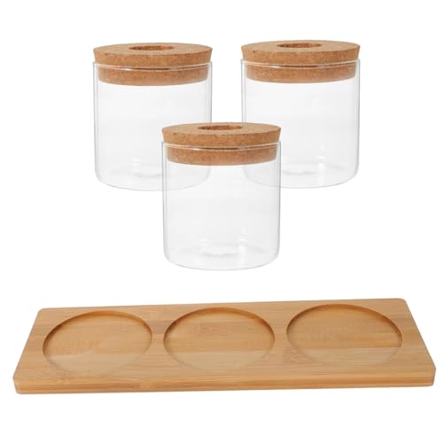 INOOMP 1 Set Hydrokultur Pflanze Glasflasche Zimmerpflanzen Hydrokultur Glas Pflanzgefäß Hydrokultur Innengarten Desktop Vase Anzuchtstationen Pflanzen Terrarium Hohes von INOOMP