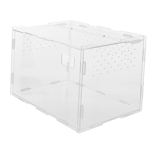 INOOMP 1 Stück Karton Futterbox für Reptilien insektenbox Insekten Box essensboxen Terrarienkäfigbecken Reptilienterrarium aus Acryl schleichtiere Kletternder Futterbehälter für Haustiere von INOOMP