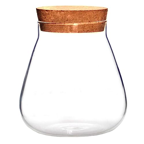 INOOMP 1stk Flasche Aus Korkglas Wohnkultur Faux-air-Pflanzen Kugelhalter Kerzengläser Zum Selbermachen Terrarienglas Mit Korken Birne Flasche Aus Glas Mit Hohem Borosilikatgehalt von INOOMP