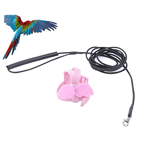 INOOMP Papagei Vögel Für Papageien 1pc Fliegen Traktion Seil 2m Elastische Seil Für Outdoor von INOOMP