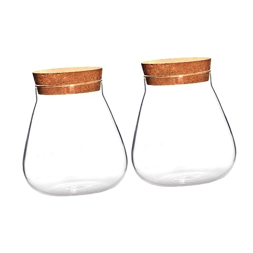 INOOMP 2 Stück Kork Glasflasche Mikro Landschaftsflasche Dekorative Vase Mini Hydrokultur Vase Aufbewahrungsflasche Klarglasflasche Heimbedarf Mikro Landschafts Terrariumglas von INOOMP