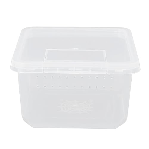 INOOMP 2Er-Box Futterbox für Reptilien Käfig Futterbehälter für Reptilien Tiere Tierbedarf Miniträger Spinnen Terrarium Reptilien inkubator Reptilfall Mini-Insektenträger pp Transparent von INOOMP