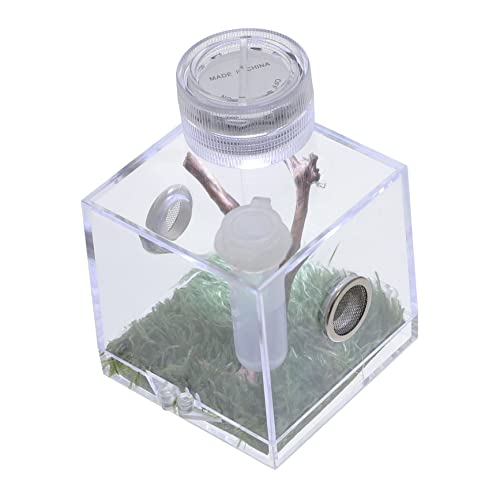 INOOMP 3Er-Box Springspinnen-Zuchtbox Spinnenhaus Luftbefeuchter für Reptilien Spinnenhaltungsbox Springspinnen-Box Mini-Luftbefeuchter Springender Spinnenlebensraum Lebensraum der Spinne von INOOMP