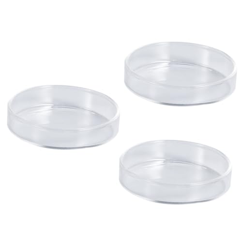 INOOMP 3St Garnelenfutter runde Gerichte Futterbehälterhalter Futternapf für Garnelen im Aquarium Wurmfutterbecher Fish Tank Feeding Bowl Garnelenfutterschale aus Glas Futternapf aus Glas von INOOMP