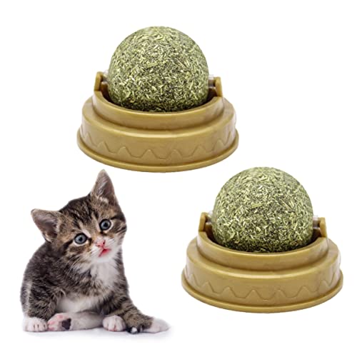 INOOMP 4 Stück Katze Leckt Ball Süßigkeiten-Snacks Katze Behandelt Minzkugel Süßigkeiten Spielzeug Zahnreinigungsspielzeug Katzenlecker Haustier Spielen Katzensnacks Beschleuniger Drinnen von INOOMP