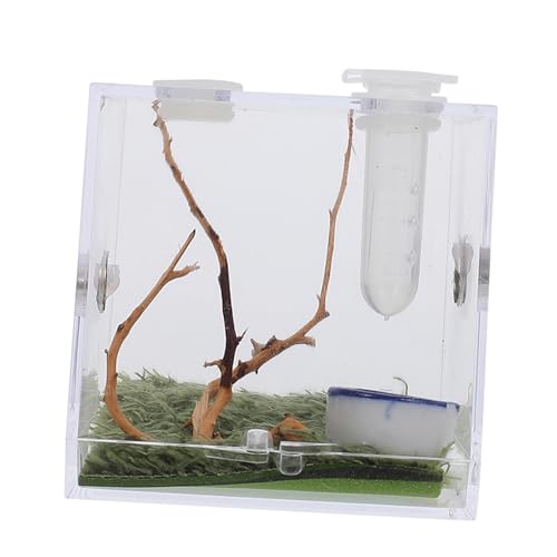 INOOMP 5 Sätze Springspinnen-zuchtbox Springspinnen-Terrarium Schlange Terrarium Käfig Für Spinnenlebensräume Inkubator Gecko-Terrarium Containerhaus Für Schnecken Aquariumbecken Acryl von INOOMP