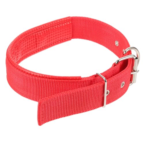 INOOMP 5St Hundehalsband für Hunde Welpenhalsband Samer tannous weingläser to go Haustierhalsband aus Nylon hautfreundliches Haustierhalsband Sanft Haustierzubehör rot von INOOMP