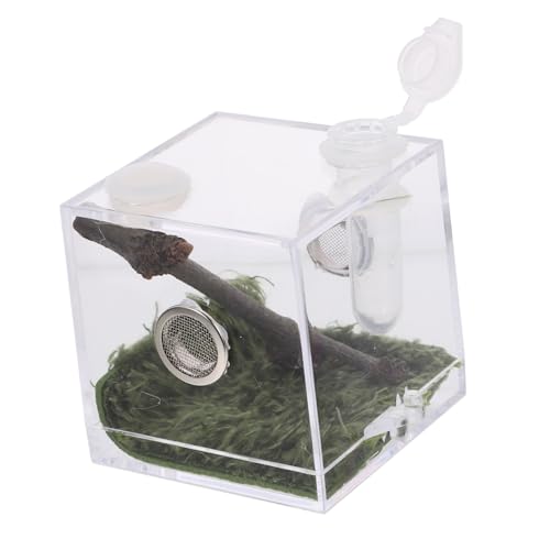 INOOMP Box Springspinne Zuchtbox Reptilien Terrarium Reptilien Escape Koffer Reptilienspinnen Transparenter Springkäfig Reptilienöl Mini Luftbefeuchter Spinnenfütterung Terrarium von INOOMP