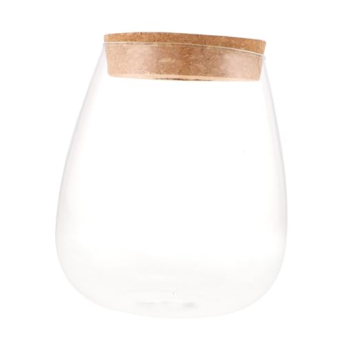 INOOMP Hydrokultur Pflanze Flasche Große Wasser Tröpfchen Glas Terrarium Home Decor von INOOMP