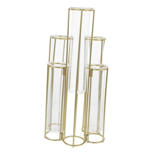 INOOMP Fünf Verbundene Hydroponische Vasen Desktop-pflanzgefäß Einzelstielvase Vasenhalter Für Reagenzgläser Ausbreitungsrohre Mit Metallrahmen Vermehrungsstation Vase Glas Golden von INOOMP