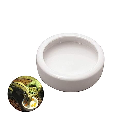 INOOMP Futterbecken für Garnelen Mehlwürmer Zubehör für Geckobecken Futternapf für Reptilien reptichip tierfutter pet Supplies Futternapf für Garnelen Keramik Essen runde Geschirr Weiß von INOOMP