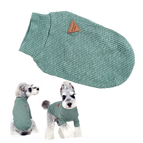 INOOMP Hundekleidung Frühlingshemden Outdoor-Kleidung T-Shirt Greenoodle Zweibeinige Haustiere Die Farbe Grün Kleidung Für Haustiere Hunde-baumwollhemden Hundezubehör Das Grün Füße von INOOMP