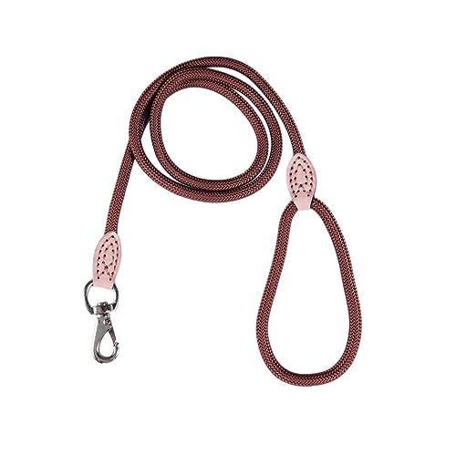 INOOMP Hundeleine gürtel Nylon hundegurt hundezubehör Dog Lead Hunde Training Abenteuer Schwerlast Dealspet-Zubehör EIN Risiko eingehen Trainingsleine aus Nylon Haustierleine Leinen Seil von INOOMP