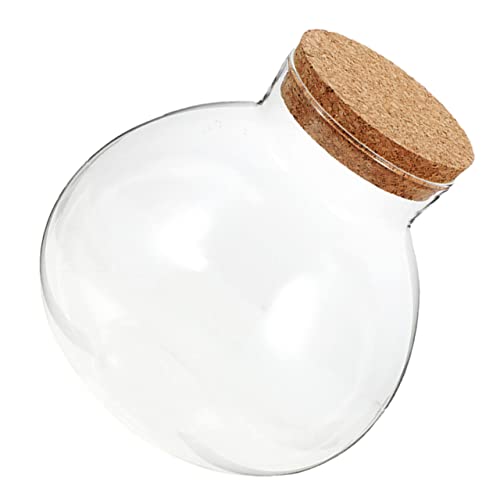 INOOMP Mikrolandschaftsdekor Kreisvase Terrarienglas Mit Deckel Dekorativer Mikro-landschaftsbehälter Snacks Glas Vorratsflasche Mikrolandschaft Ökologische Flasche Pflanzenterrarium Kork von INOOMP