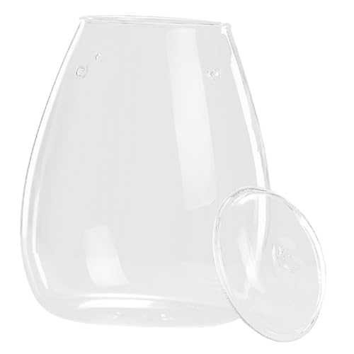 INOOMP Moos-öko-Flasche Pflanzenterrarium Terrarienflasche Leeres Terrarium Dekorativer Mikro-landschaftsbehälter Tischschmuck Micro-landschafts-DIY-Flasche Mikro-landschaftsflasche Glas von INOOMP