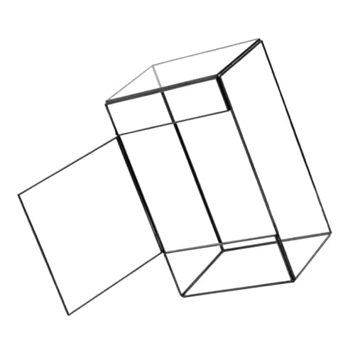 INOOMP Künstlerische Pflanzvase Aus Glas Dose Schwarzer Rahmen Landschaftsterrarium Als Heimdekoration für Pflanzenterrarium Moosterrarium von INOOMP