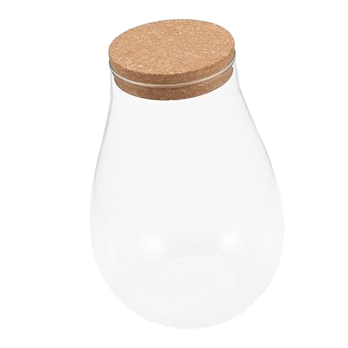 INOOMP Ökologische Mikrolandschaftsflasche zimmerpflanzen Sustainability nachhaltige eincremehilfe glasvase Bryophyten-Cloche-Glas Liter Anlage Ausbreitungsstation Terrarium hölzern von INOOMP