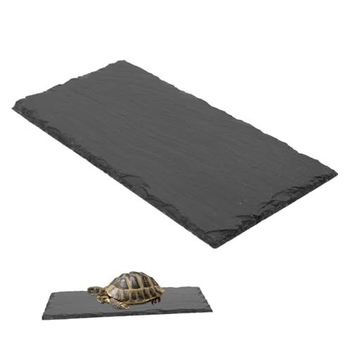 INOOMP Schiefermatte Schildkrötentablett Schildkrötenfutter Fütterung Schildkrötenschale ruhender Speiseteller Futterbecken für Reptilien Essensteller Grey INOOMP Schiefermatte Schildkrötentablett Schildkrötenfutter Fütterung Schildkrötenschale ruhender Speiseteller Futterbecken für Reptilien Essensteller Grey von INOOMP