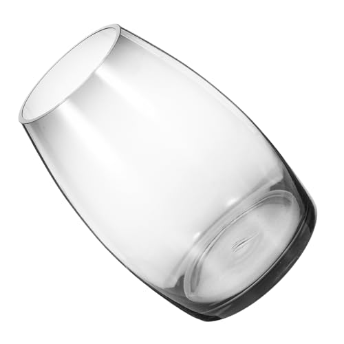 INOOMP Terrarium Für Moospflanzen Transparenter Pflanzenhalter Aus Glas Mikro Landschaftsglas Desktop Terrarium Tisch Betta Tank von INOOMP