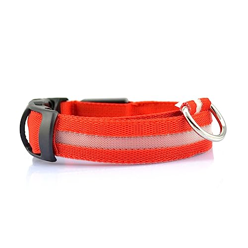 INOOMP Beleuchteter Kragen Hundehalsband Haustierhalsbandkegel Blinkendes Haustierhalsband Licht Aus Haustierhalsband Led-haustierhalsband Rot Lichtleiste Blitz von INOOMP