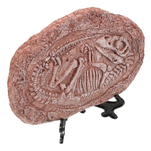 INOOMP paläontologischer Trilobit Fossil Reptilien Dekorative Paläontologie Geologische Dekoration Tierpräparat Requisiten lehren Dinosaurier-Exemplar-Ornamente Paläontologiestein Harz von INOOMP