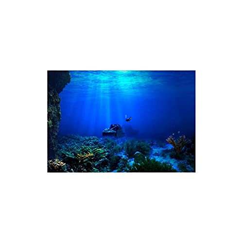 DauerhaftePoster3DEffektWasserdichteHintergrund vorAquarium (Color : 61 * 41cm) von INPETS