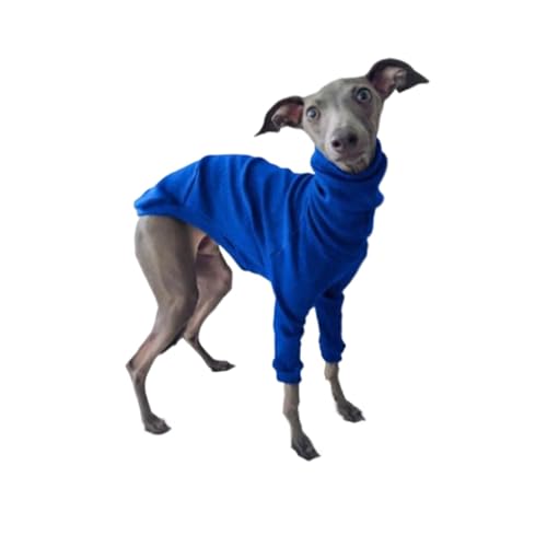 Hund Kleidung Frühling Herbst Hohe Kragen Zweibeinigen Haustier Kleidung Greyhound Whippet Rollkragen Pyjamas Warme Kleidung Hund Liefert (Color : Blue, Size : 2XL) von INSTR