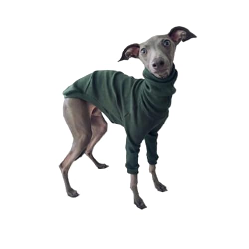 Hund Kleidung Frühling Herbst Hohe Kragen Zweibeinigen Haustier Kleidung Greyhound Whippet Rollkragen Pyjamas Warme Kleidung Hund Liefert (Color : Green, Size : 3XL) von INSTR