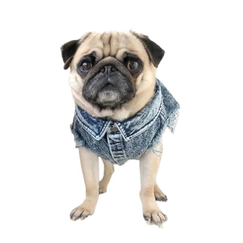 Teddy Französische Bulldogge Corgi Wasserwaschende Jeansjacke Frühlings- und Sommerflut Hundeweste Haustier Hundejacke Kleidung (Color : Blue, Size : S(chest40cm 3.5kg)) von INSTR