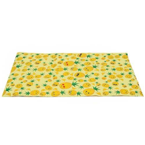 INTIRILIFE Kühlmatte für Hunde und Katzen in Weiß mit Ananas - 50 x 90 cm - selbstkühlende Matte für Haustiere abwischbar Kühlunterlage Hundematte Katzenmatte für Kisten Zwinger Betten von INTIRILIFE