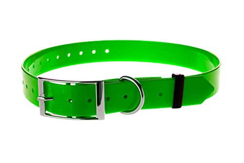 IOCUS SPAIN PU-Halsketten: Höchste Qualität und Stil für Ihre Haustiere (Grün) von IOCUS SPAIN