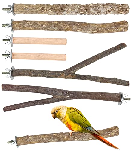 6 Stück Vogelstange, 3 Arten Vogelständer Set Vogelkäfig Zubehör Naturholz Spielzeug Sitzstange Papagei Spielzeug Natürlicher Zweig Stehstock für Wellensittiche Liebe Vögel Aras Finken Kleine und von IOUALEY